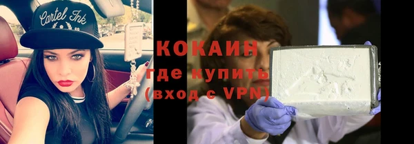 гашик Зерноград