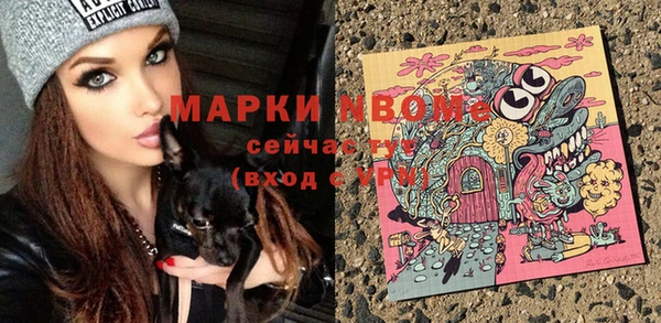 гашик Зерноград