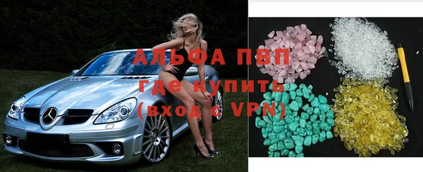 гашик Зерноград