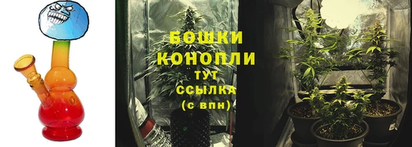 гашик Зеленодольск