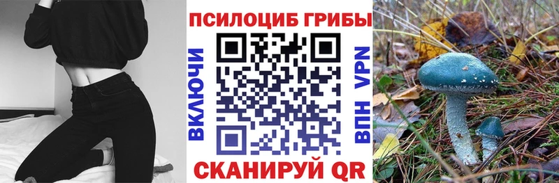 цены наркотик  Каспийск  hydra ТОР  Псилоцибиновые грибы мухоморы 