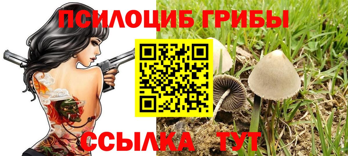 Каспийск  Галлюциногенные грибы Cubensis  Вход с VPN  Псилоцибиновые грибы ЛСД 